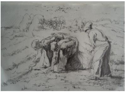 2019�̎��Y���C�Pԇ���}����